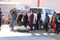 Continuarán mañana esterilizaciones gratuitas de mascotas en la Primaria Ignacio Manuel Altamirano