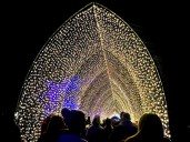 First look: Chicago Botanic Garden’s wintertime wonderland Lightscape returns with fan favorites and new additions