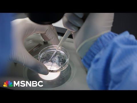 'Science fiction gone bad.' Execs quietly compete to create genetically engineered baby, WSJ reports