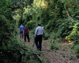 La reserva privada VGM, fue insertada dentro del sistema de Áreas Naturales protegidas