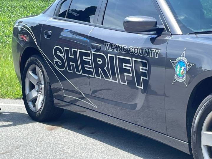 Man charged with cutting, stealing internet and phone lines in Wayne County: Deputies