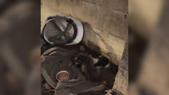 New York Crew Begins Routine Workday And Finds Something They Can’t Walk Away From