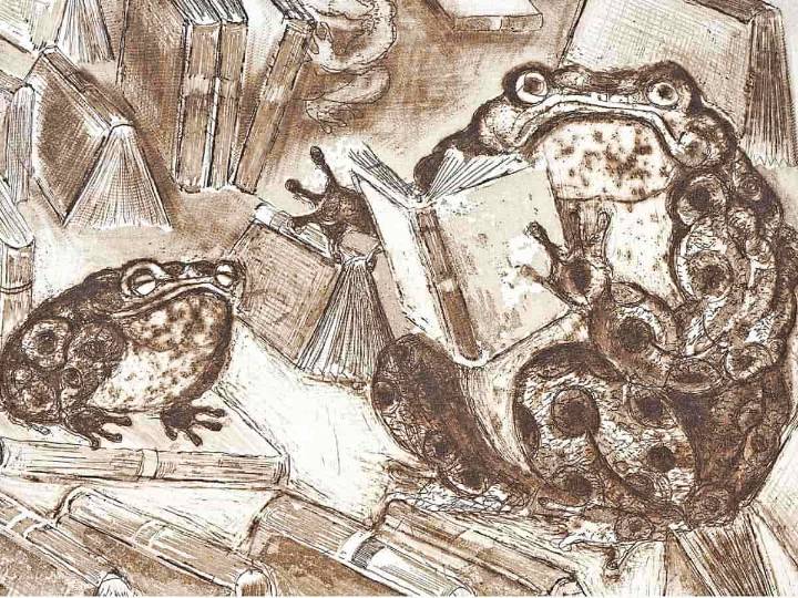 Variaciones del papel: Preparan exposiciones relacionadas con el libro