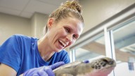 Tampa’s sea turtle hospital, pushed to the limit, fights to save a record number of rescues