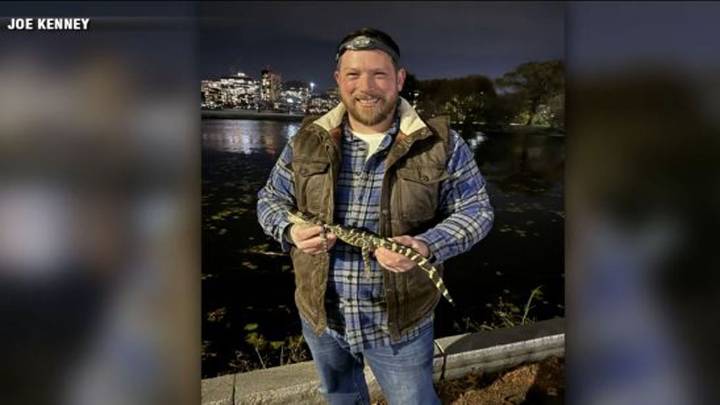 Man recalls rescuing small alligator from Charles River