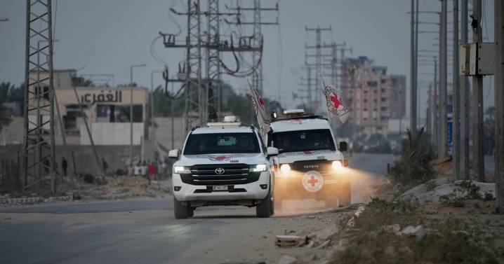 Latest remains returned from Gaza are not bodies of hostages, Israel says