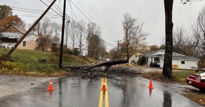 One person killed after tree falls on tent in woods off bypass