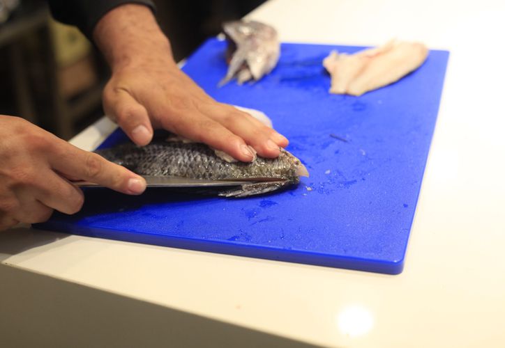 Impulsan la acuicultura y ostricultura en hoteles de Quintana Roo