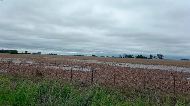 Pronostican más lluvias, ahora focalizadas sobre el norte de la región agrícola