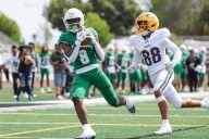 Poll: Lincoln stays at No. 4 in our weekly high school football rankings