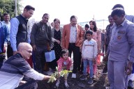 Indore News: Beeja Plants Play Vital Role In Controlling Diabetes, Finds Study