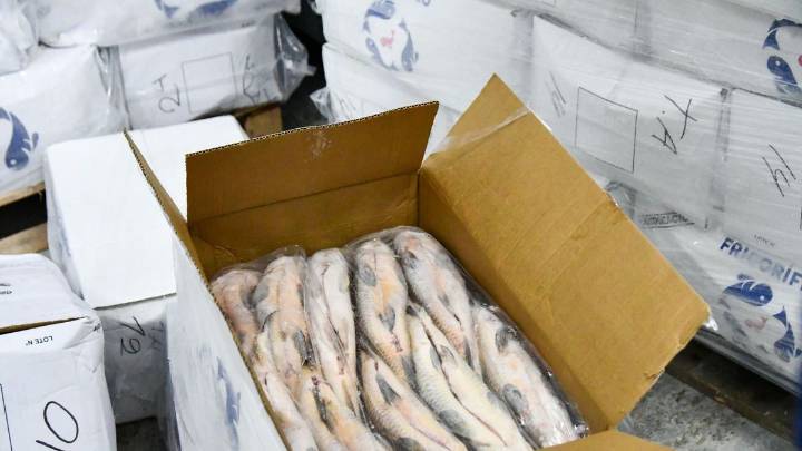 Santa Fe prohíbe exportar pescado y pone el foco en el sábalo: una especie clave del Paraná