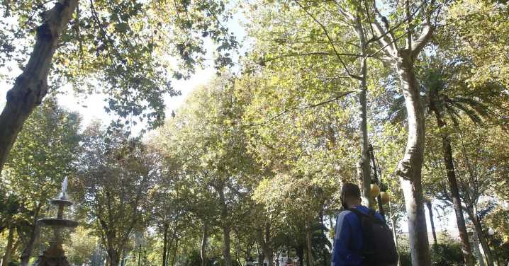 Madrugadas gélidas de cinco grados y lluvias escasas esta semana en Córdoba