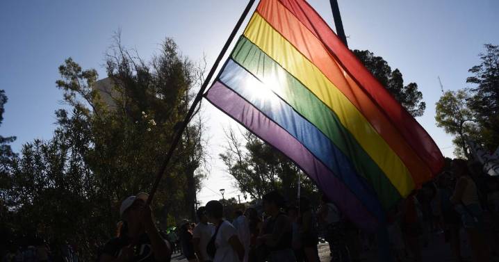 Marcha del Orgullo: Viedma y Carmen de Patagones celebrarán 10 años, con Flor de la V y Sudor Marika