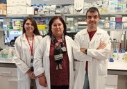 Nuevo avance contra el cáncer: investigadores asturianos identifican una diana terapéutica para tratar tumores de cabeza y cuello