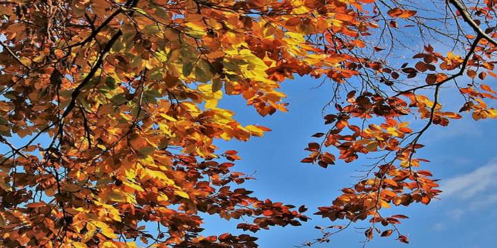 First Alert Forecast: Fall-like weather through weekend.