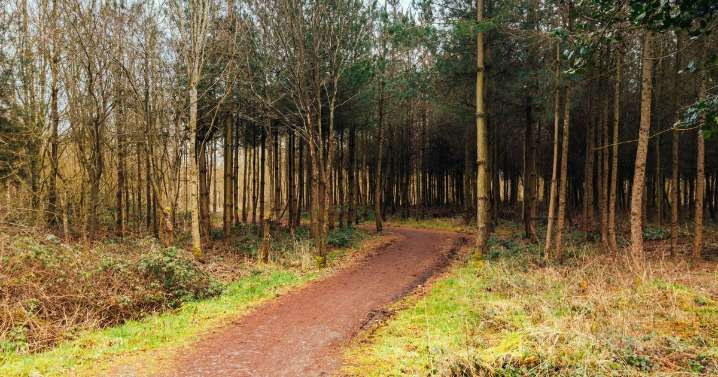 New national forest confirmed for Oxford