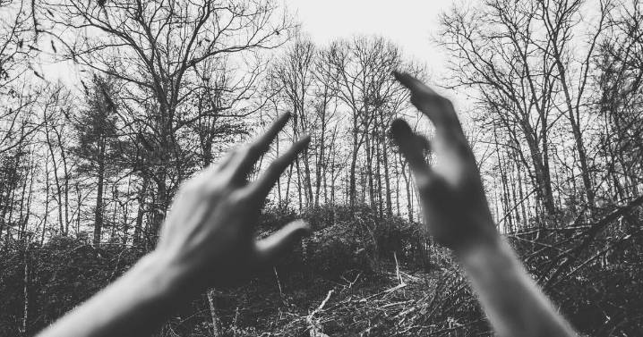 Art Exhibits — master (copy)