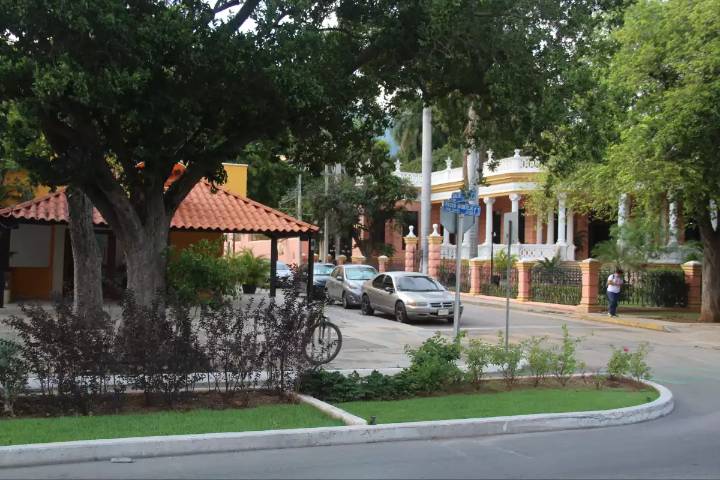 Empresarios urgen cambios viales en Paseo de Montejo en Mérida para proteger la actividad comercial