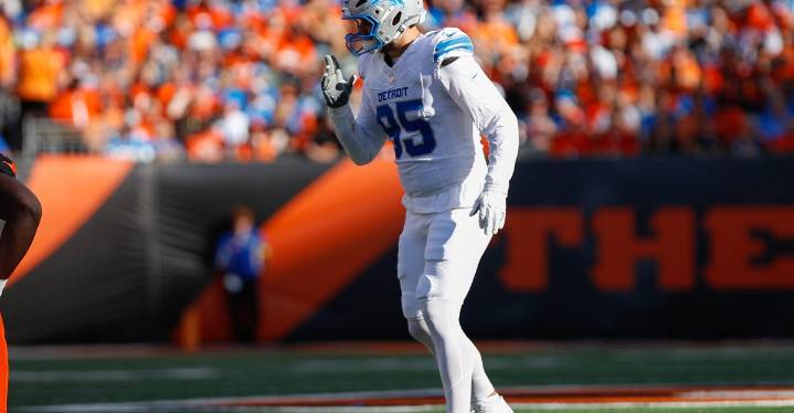 Detroit Lions place veteran defensive lineman on IR
