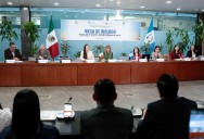 Llaman a elevar protección de arrecifes de coral ante riesgo de desaparición