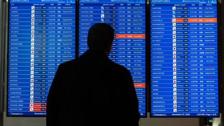 Ante el aumento de las cancelaciones de vuelos, la gente recurre a los trenes, el alquiler de autos y soluciones creativas para llegar a sus destinos