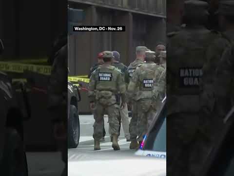 National Guardsmen Shot Near White House, Suspect in Custody