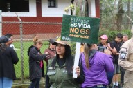 Evitarán extracción y comercialización del musgo en bosques y páramos venezolanos en temporada decembrina