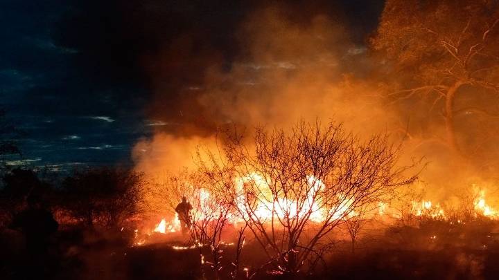 Preocupación en La Florida por un incendio de pastizales que amenaza viviendas cercanas