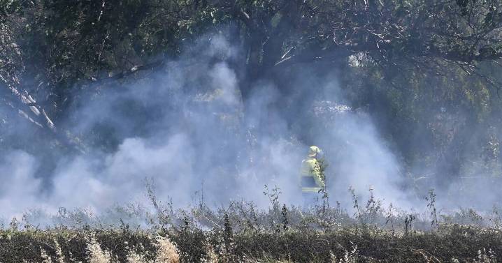 Fire crews extinguish grassfire burning on edge of Tamworth CBD