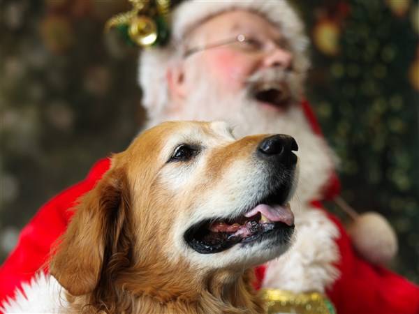 Santa helps make wishes come true for pets and Nature's Nursery