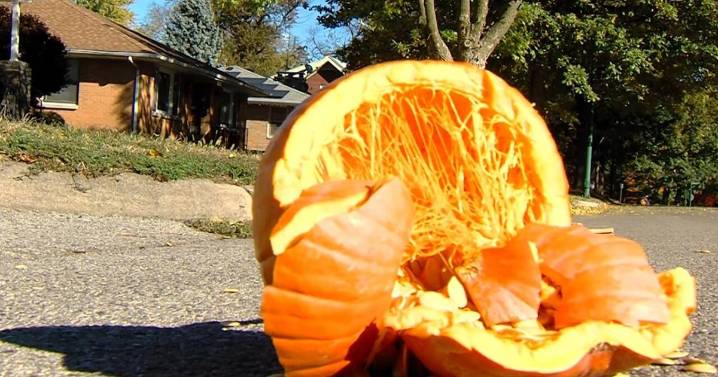 Smash, Don’t Trash! Composting pumpkins after Halloween