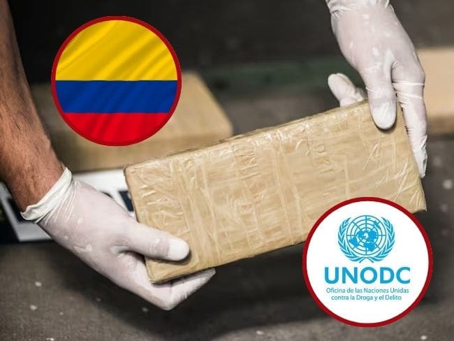 ONU: 3.001 toneladas de cocaína habrían sido producidas en Colombia durante 2024, aumenta 12,6%