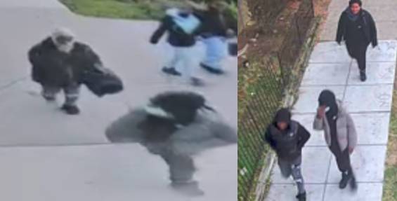 Pack of robbers flee after assaulting and robbing woman on DC street