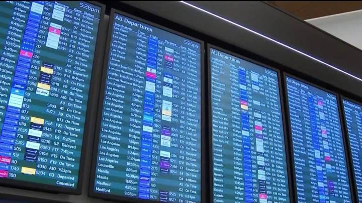 Cuáles son tus derechos si te cancelan un vuelo – Telemundo Area de la Bahía 48