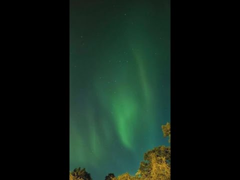 How to view the Northern Lights in the Tampa Bay area