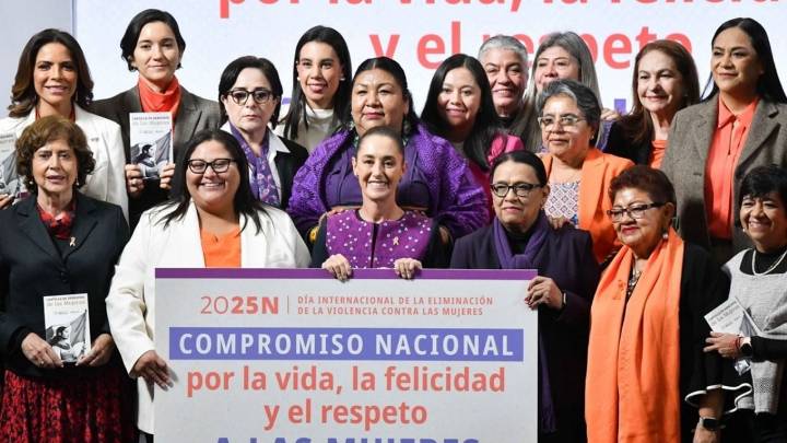 Claves del plan para homologar leyes contra la violencia hacia mujeres
