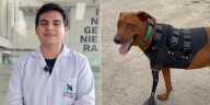 Joven beneficiario de Beca 18 desarrolla tecnología que ayuda a animales amputados a recuperar la movilidad