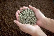 Popular coffee chain files for bankruptcy