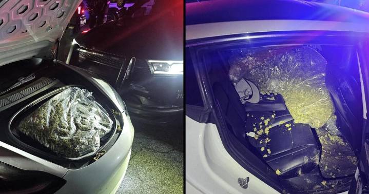 Teen arrested after Salinas cannabis heist, pursuit to Gilroy