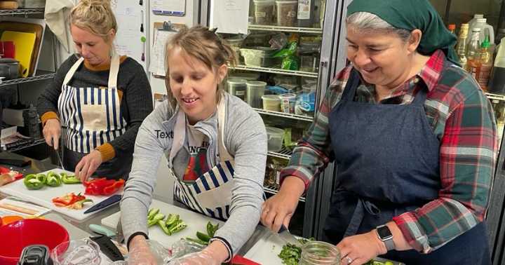 Why are hummingbird numbers declining?