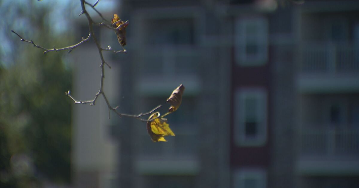 Tennessee comptroller gives Rutherford County property assessor ultimatum