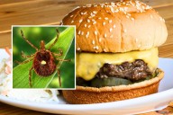 New tickborne meat allergy kills NJ man in first confirmed death