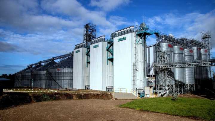 Megaproyecto solar de energía para producción arrocera en Casanare