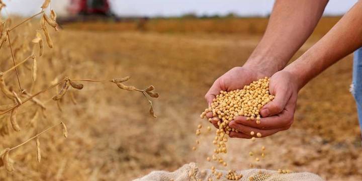 Give thanks for the sun, the CO2, and the farmers