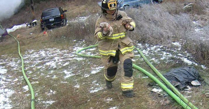 One person injured, dogs killed in RV fire north of Springdale