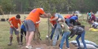 Volunteers gather in Lufkin for Texas Arbor Day tree