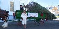 Melania Trump accepts Michigan’s first White House Christmas tree in 40 years
