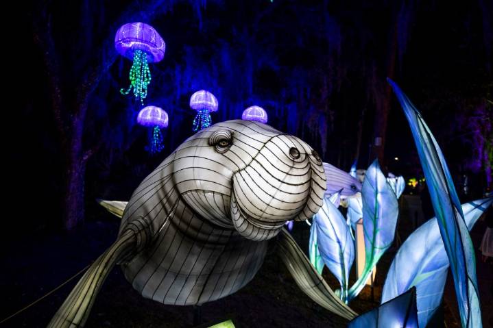 Santa photo ops, holiday celebrations among early holiday events