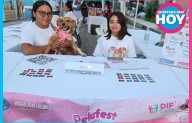 Atenea Gómez refuerza el bienestar animal con jornada Pelufest en Isla Mujeres